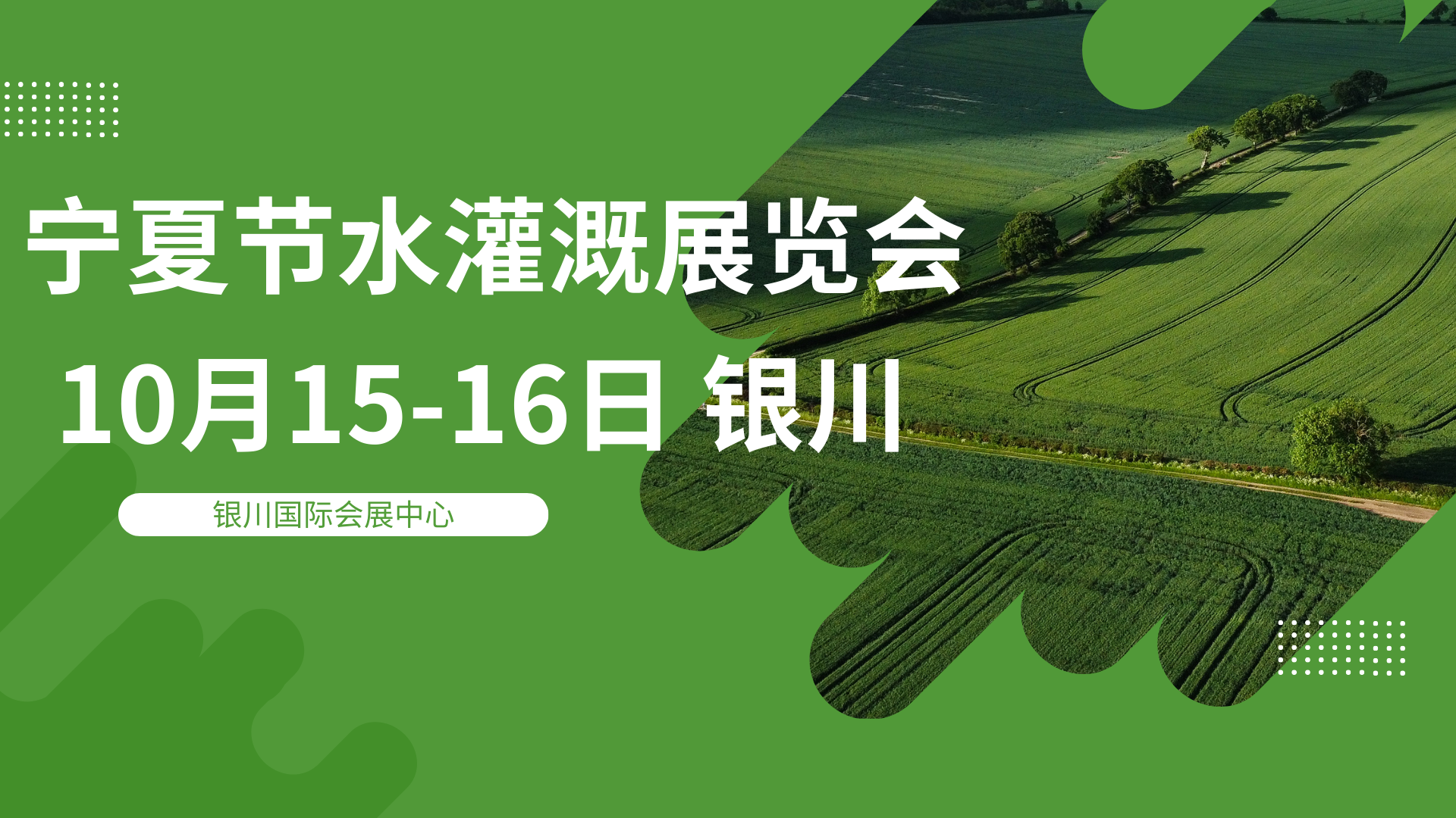 a5aeda6b8bc8b257c80e29b86629025.png